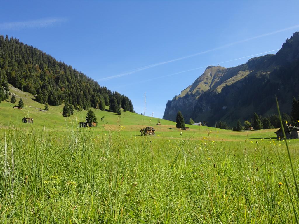 Hotel Haus Alpina Au (Vorarlberg) Zewnętrze zdjęcie