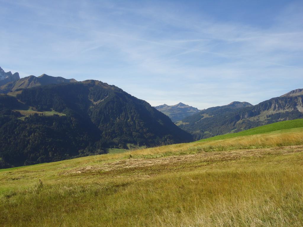 Hotel Haus Alpina Au (Vorarlberg) Zewnętrze zdjęcie