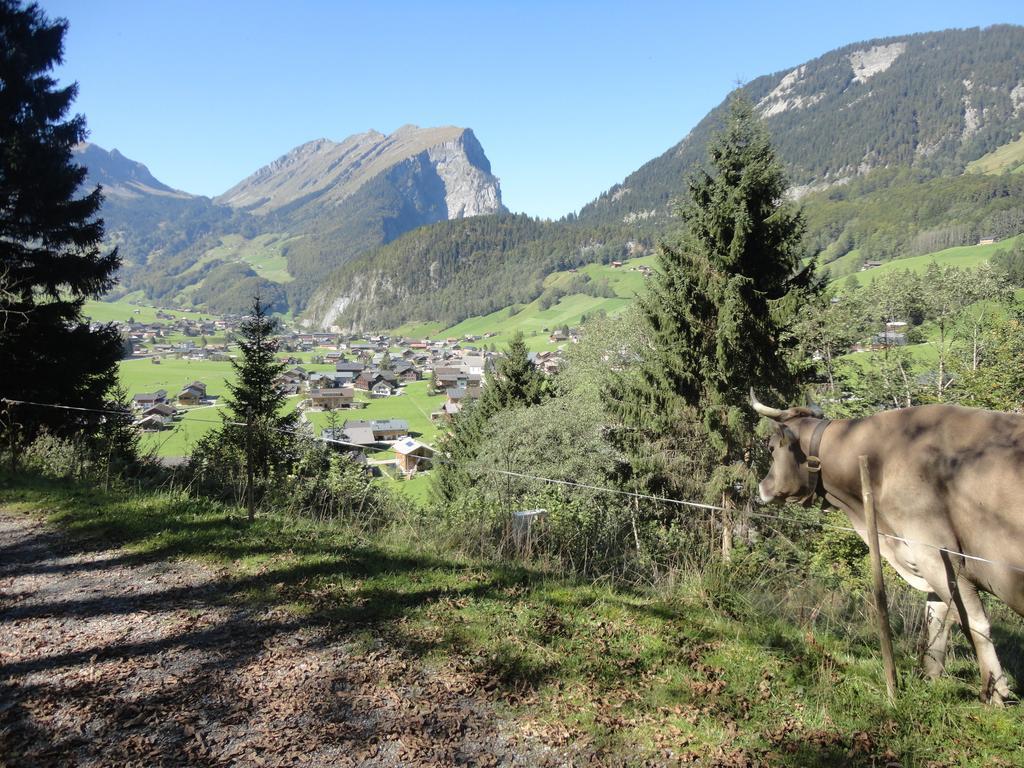 Hotel Haus Alpina Au (Vorarlberg) Zewnętrze zdjęcie