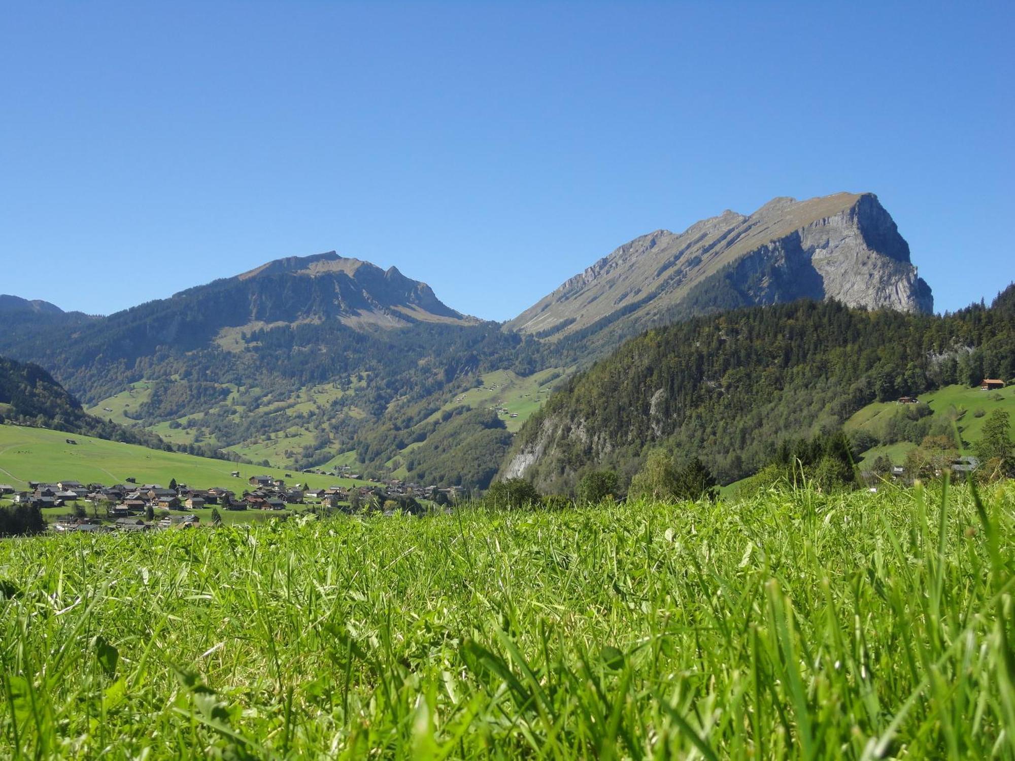 Hotel Haus Alpina Au (Vorarlberg) Zewnętrze zdjęcie